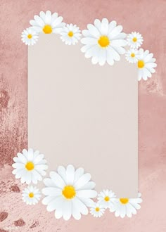 a pink background with white daisies on it and a paper sheet in the middle