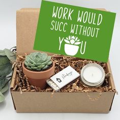 a box filled with succulents and candles next to a sign that says work would succ without you