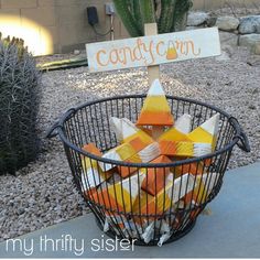 a basket full of candy sitting on top of a cement ground next to a cactus