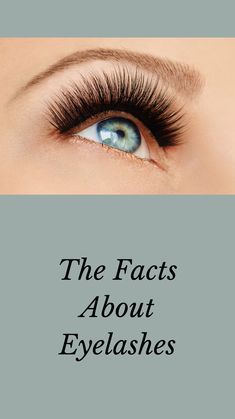 Eyelashes, just like your skin, should be cared
for to be healthy.
Whether you wear makeup or prefer a natural
look, do not neglect your eyes nor your lashes.

Click the link below to discover what all of our eyelashes have in common.

#Beauty
#Healthylifestyle
#Eyelashes Be Healthy, Natural Look, Your Eyes, Click The Link, Your Skin, Eyelashes, Healthy Lifestyle, Lashes, Skin