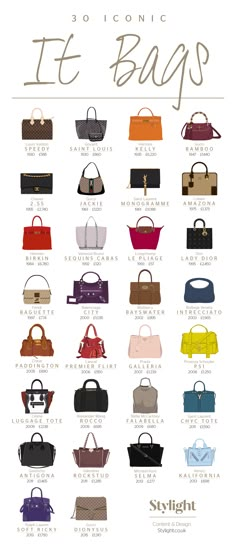 Minimal Resume Design, Tas Louis Vuitton, Types Of Purses, Iconic Bags, Buy One Get One, Fashion History