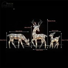 three lighted deers are shown in the dark with measurements for each one's head