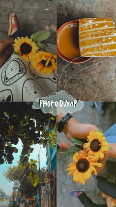 four different pictures with sunflowers in them and the words, photo - dupap?