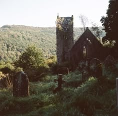 an old church in the middle of a forest