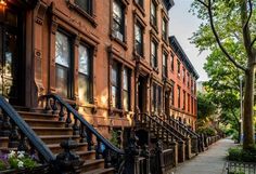 a row of browns houses with wrought iron railings and trees on the sidewalk next to them