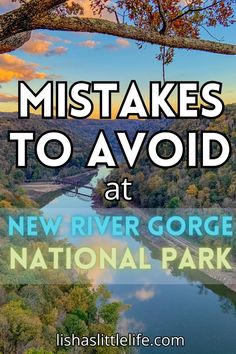 a river surrounded by trees with text overlay that reads, 5 must takes to avoid at new river gorge national park