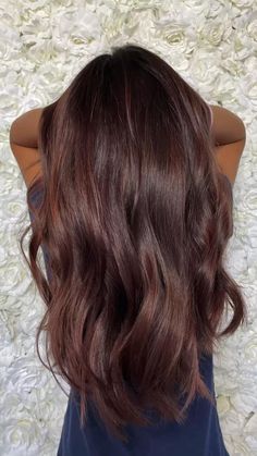 Burgundy Tinted Hair Dark Brown, Brown With A Red Tint Hair, Brown Hair With Some Red, Chocolate Red Highlights, Maroon Lowlights Brunettes, Brown W Red Undertones, Strawberry Brown Hair Brunettes, Level 4 Red Brown Hair, Chocolate Mohagany Hair