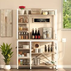 a white shelf filled with lots of bottles and glasses next to a potted plant