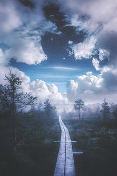 a long wooden walkway in the middle of a lush green forest under a cloudy sky