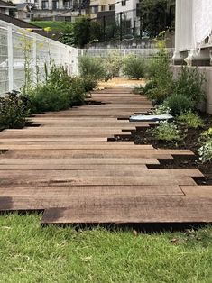 a wooden walkway in the middle of some grass and plants on either side of it