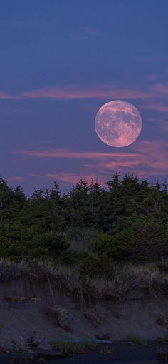 the full moon is seen over trees and sand dunes at dusk in this photo taken on an island off the coast of maine