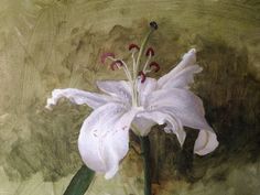 a painting of a white flower on a green background