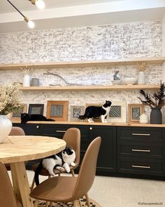 two black and white cats sitting on chairs in a kitchen