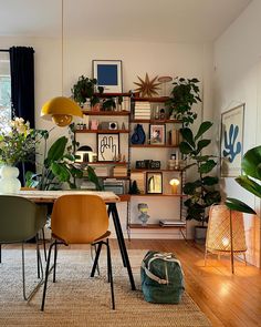 a living room filled with furniture and lots of plants on top of bookshelves