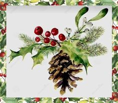 watercolor painting of holly with berries and pine cone on white background stock photo, picture