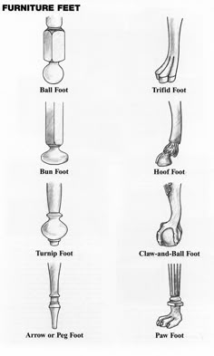 an image of foot and leg types in different positions, including the toes, ankles, and feet