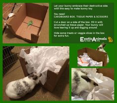 an advertisement with pictures of rabbits in boxes and other things that are inside the box