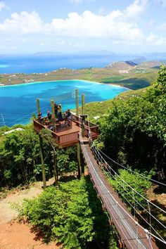 people are walking on a wooden walkway above the water and trees in front of them