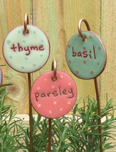 three different colored tags with the words thyme, basil and parsley on them