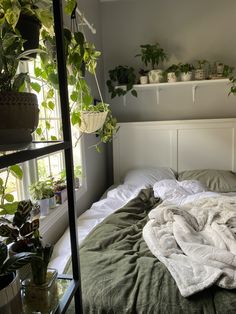 an unmade bed with plants on the shelves above it