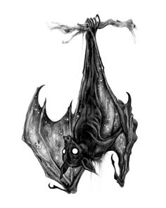 a drawing of a bat hanging upside down