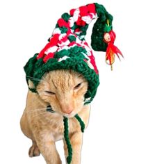 an orange cat wearing a green and red knitted hat with a bird hanging from it's side