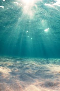 the sun shines brightly through the water's surface as it swims over sand