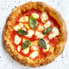 a small pizza with cheese and basil leaves on it's top, sitting on a white surface