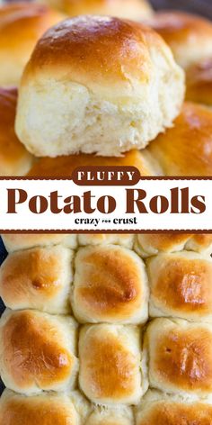 Fluffy Potato Rolls are the BEST! Soft and delicious, these easy rolls with instant potatoes are what you need at your Thanksgiving dinner party. Pin this Thanksgiving side dish recipe for later! Mashed Potato Rolls, Potato Water, Potato Rolls Recipe, Potato Rolls, Potato Roll, Biscuit Rolls, Leftover Mashed Potatoes, Peter Cottontail, Mashed Potato