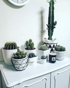 a white dresser topped with lots of potted plants