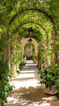 an archway is lined with green plants and potted trees on either side of the walkway