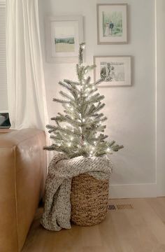 a small christmas tree in a wicker basket next to a wall with pictures on it