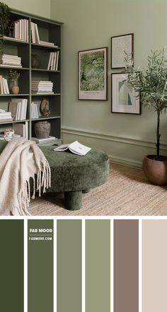 a living room filled with furniture and bookshelves in shades of green, brown, and beige