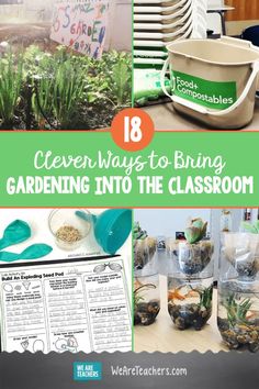 Science Club, Kids Classroom, Parts Of A Plant, Project Based Learning