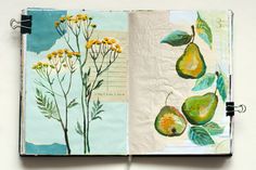 an open book with pictures of pears and flowers