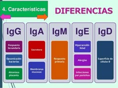 the four different types of igm are shown in this graphic above it is an image of