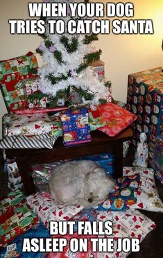 a white dog laying under a christmas tree surrounded by presents