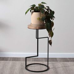 a potted plant sitting on top of a metal stand