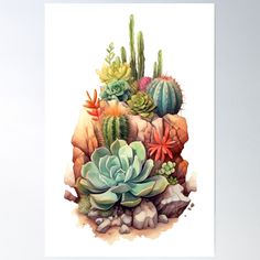 watercolor painting of cactus and succulents on rocks poster