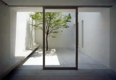 an empty room with a tree in the middle and light coming through it to enter another room