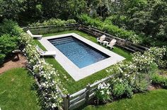 an aerial view of a pool surrounded by greenery and white flowers in the backyard