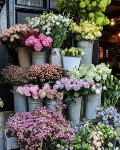 a bunch of flowers that are in buckets