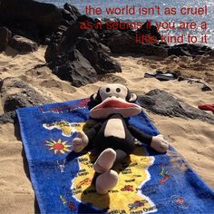 a stuffed monkey laying on top of a blue towel next to the ocean and rocks