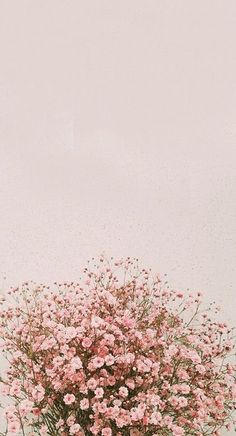 a vase filled with pink flowers sitting on top of a wooden table next to a white wall