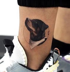 a black and white dog with a collar tattoo on its leg, next to a pair of sneakers