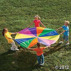 three children are playing with a large kite in the grass on a sunny day,