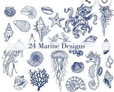 marine animals and sea creatures are drawn in blue ink on white paper with the words 24 marine