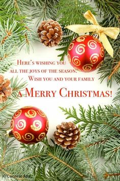 christmas card with ornaments and pine cones on the branches, which reads here's wishing you all the boys of the season wish you and your family