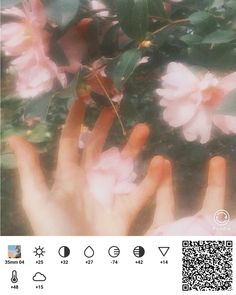 someone's hand reaching for flowers in front of the camera