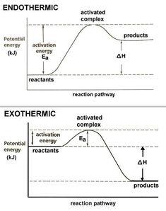 two diagrams showing the stages of an exothermic and active energy flow from one source to another